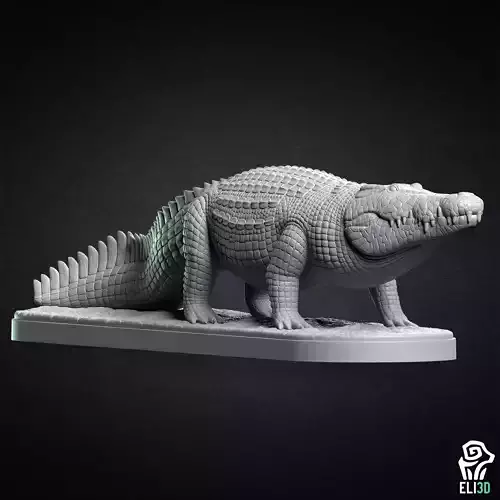 Crocodile - Animal 