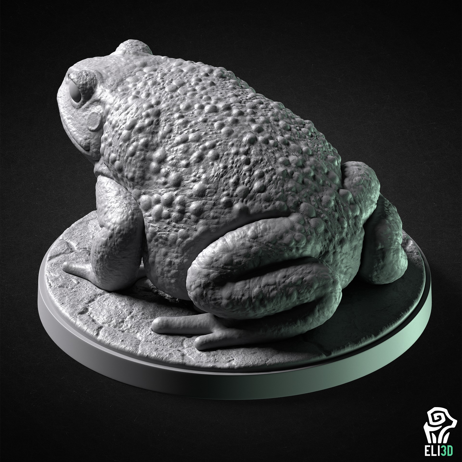 Toad - Animal 3D print model_1