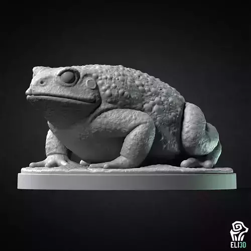 Toad - Animal 3D print model
