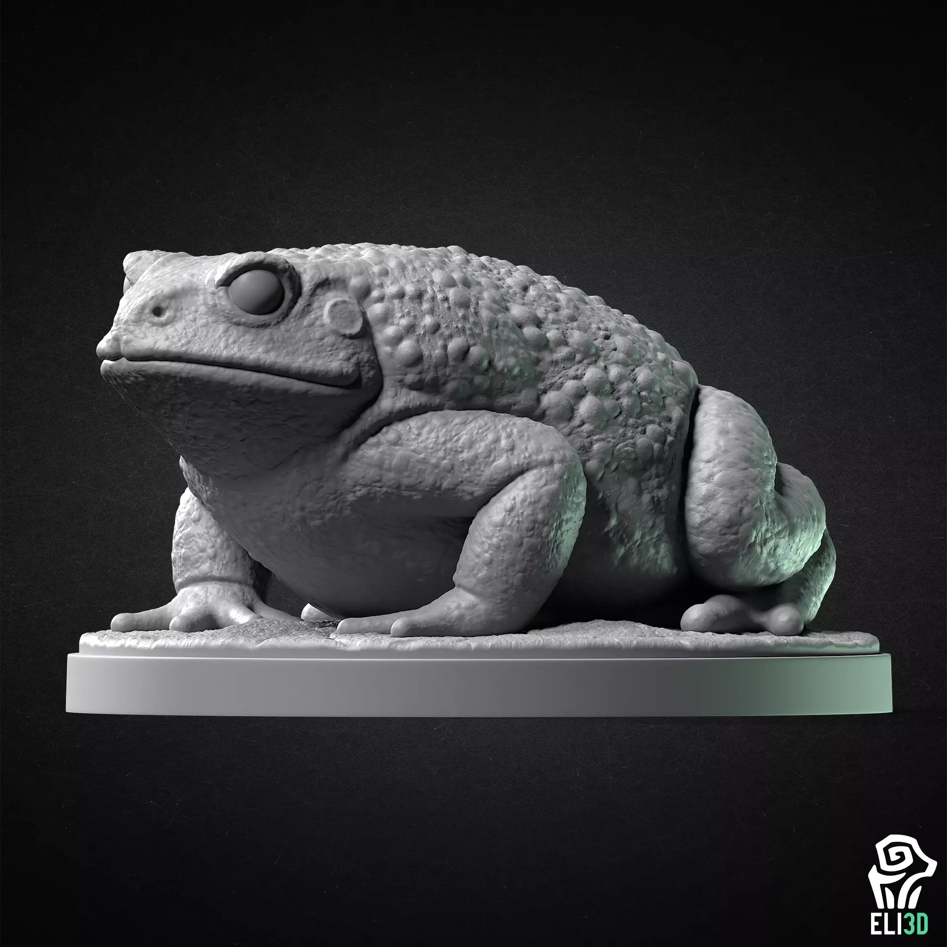 Toad - Animal 3D print model_0
