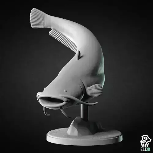 Wels Catfish - Animal 