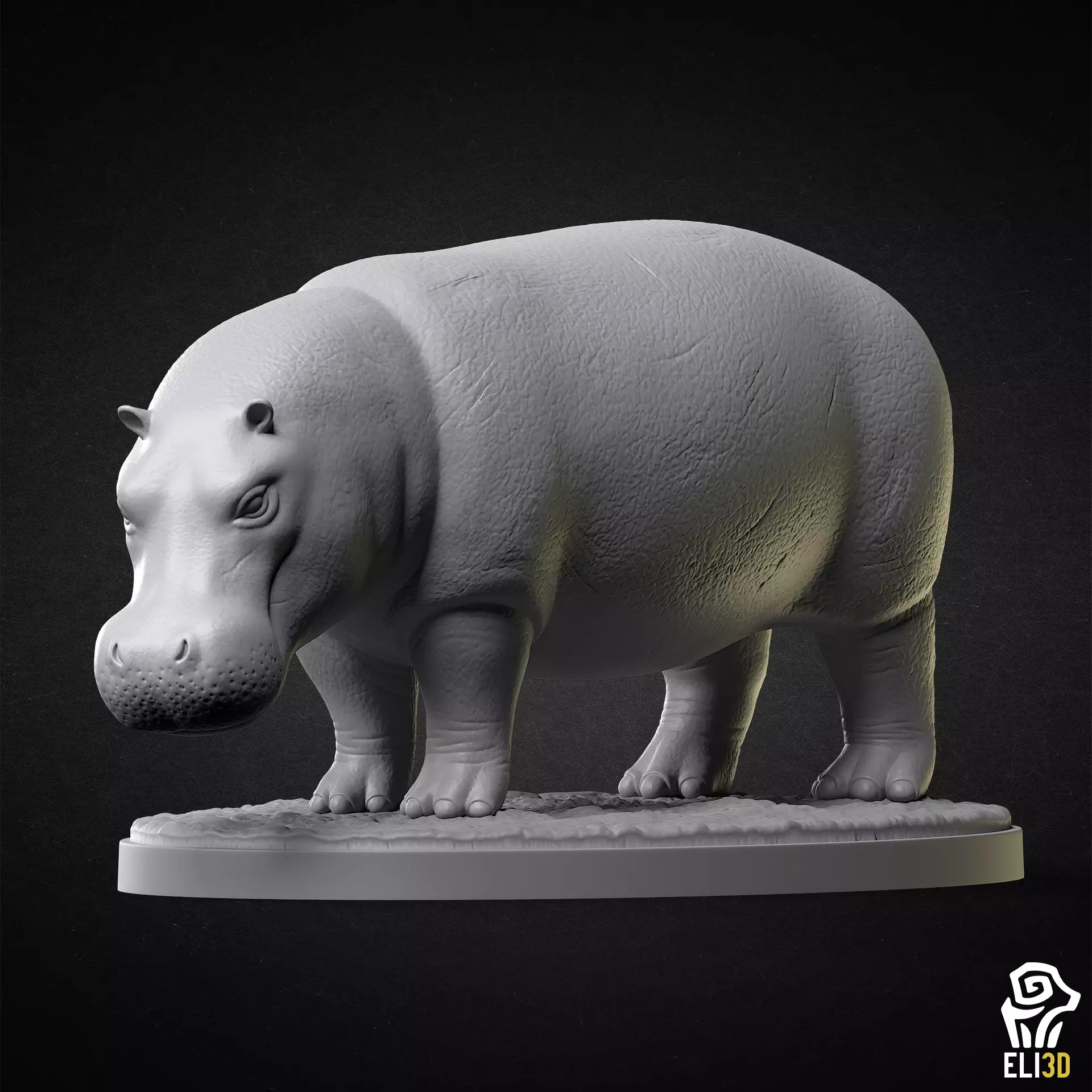 Hippo - Animal 3D print model_0