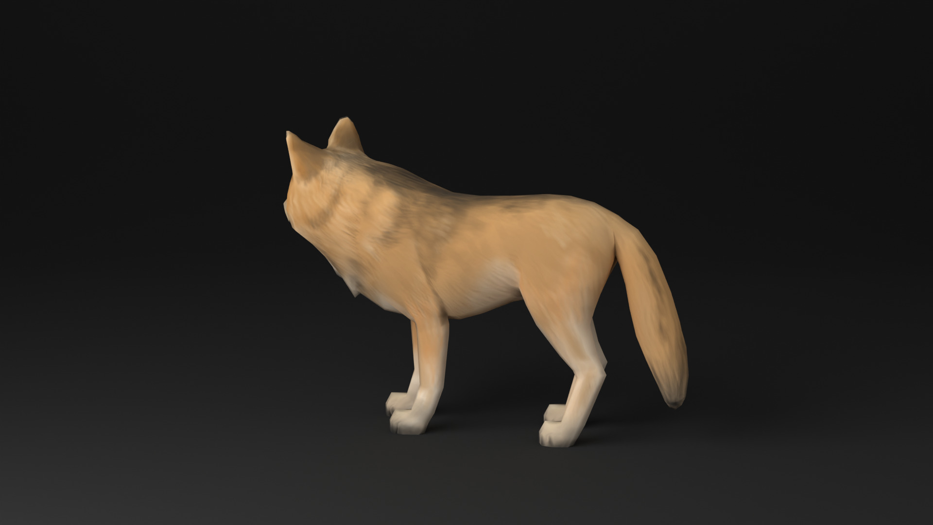 Wolf low poly idle animated Low-poly 3D model_9