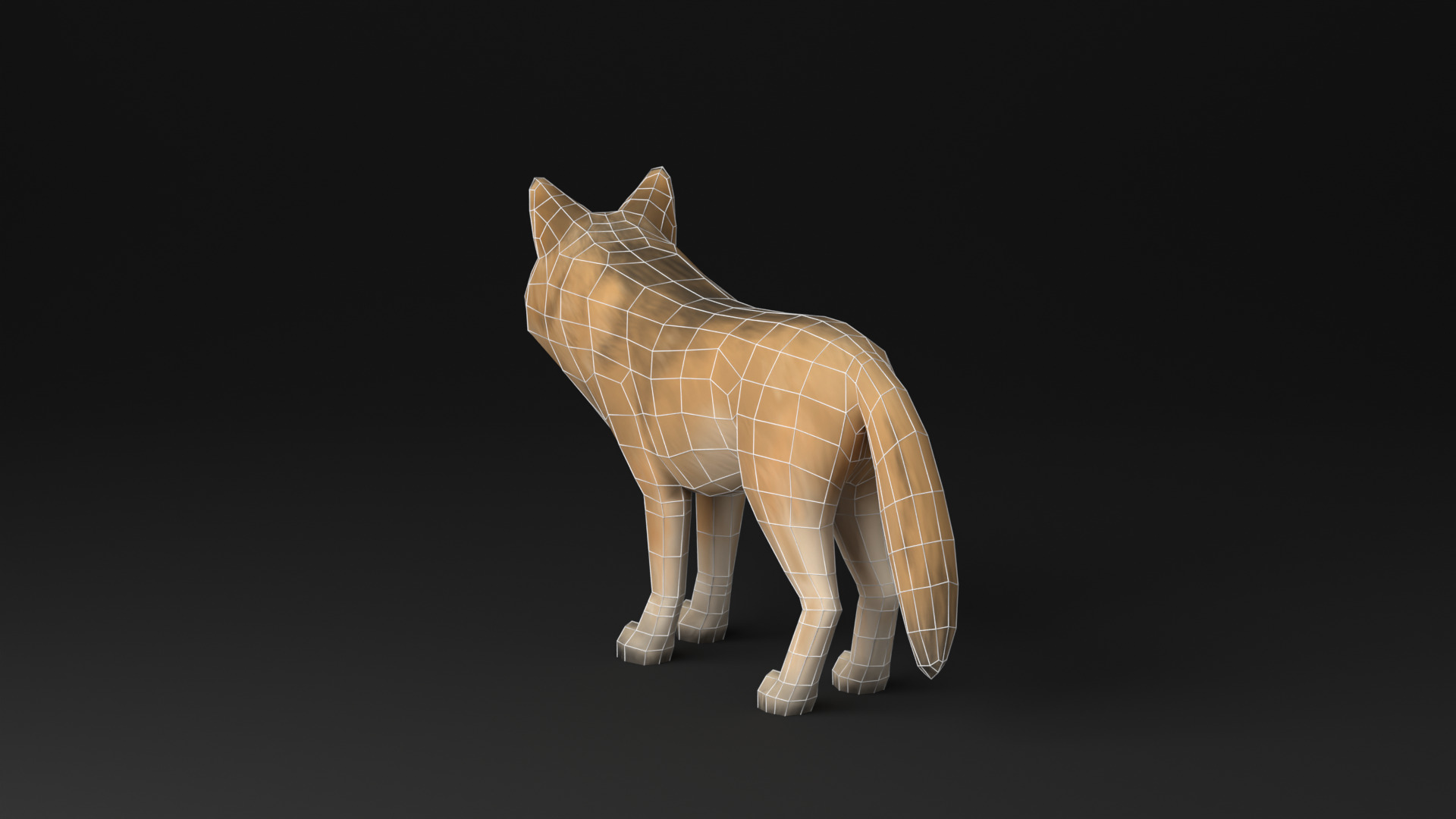 Wolf low poly idle animated Low-poly 3D model_12