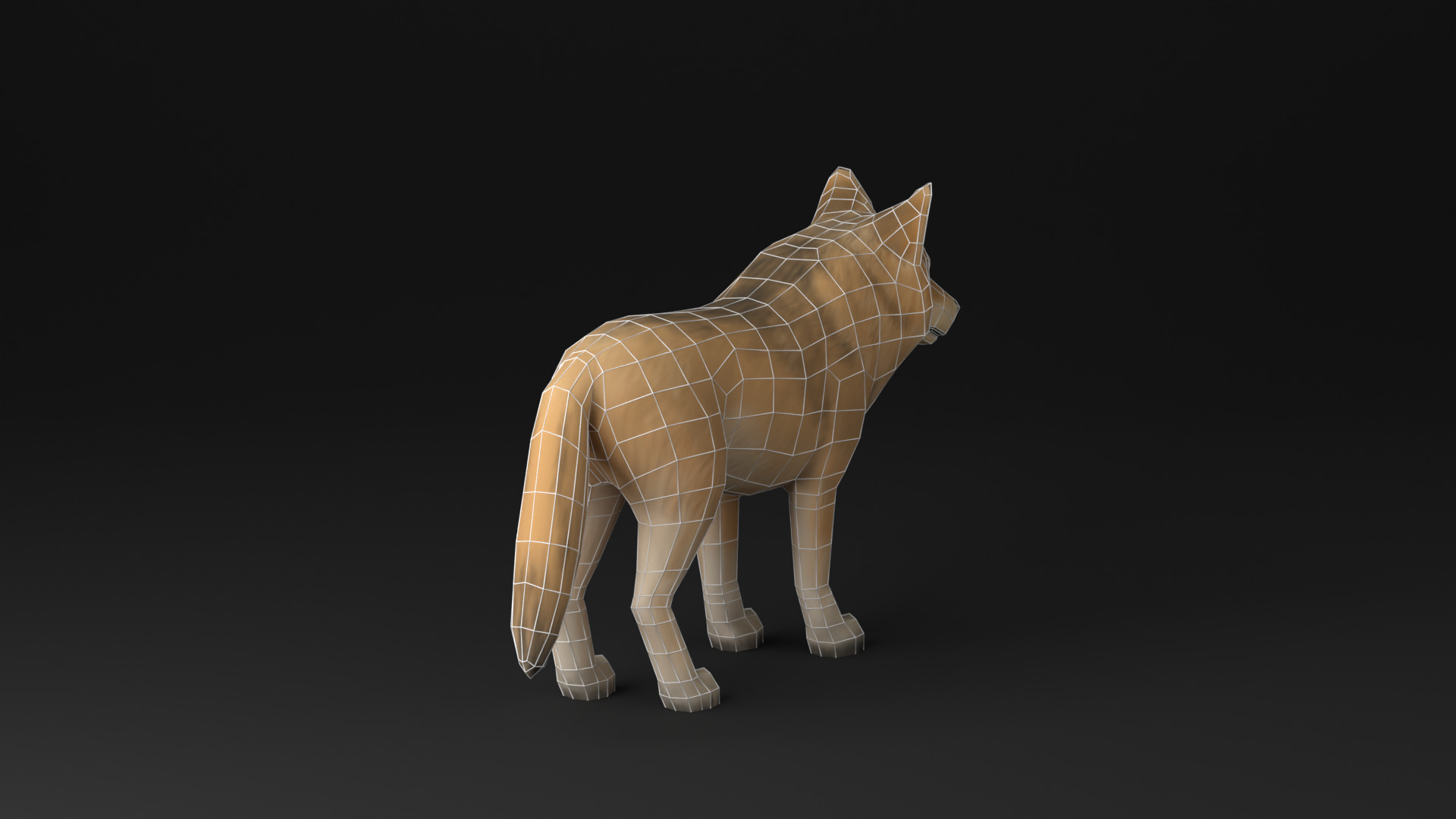 Wolf low poly idle animated Low-poly 3D model_16