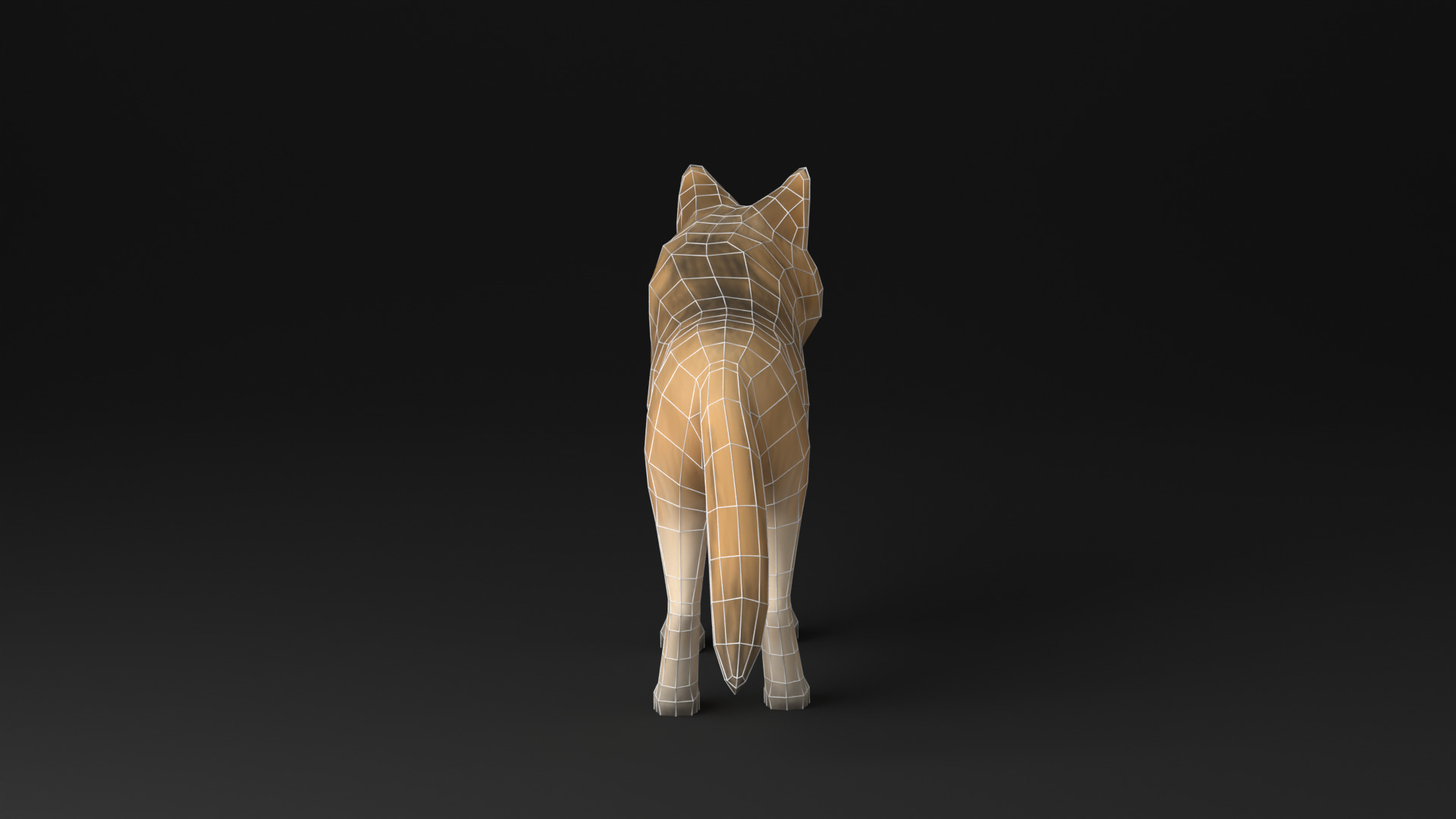 Wolf low poly idle animated Low-poly 3D model_14
