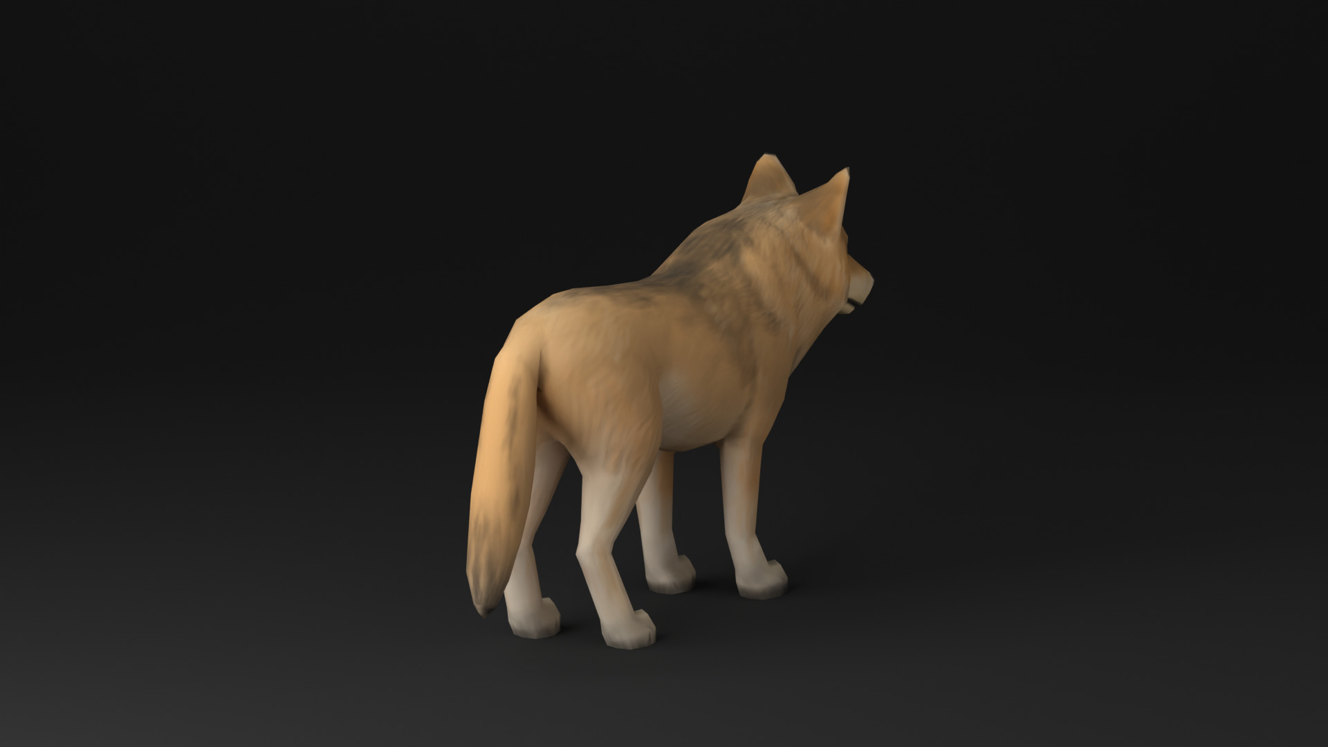 Wolf low poly idle animated Low-poly 3D model_15