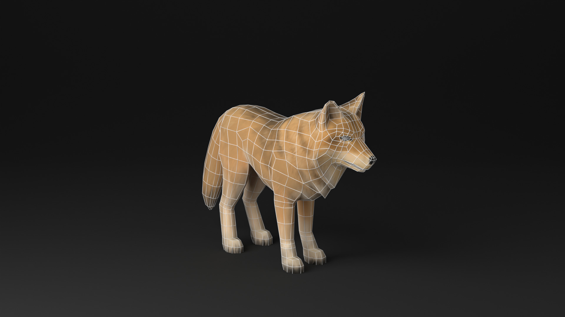 Wolf low poly idle animated Low-poly 3D model_22
