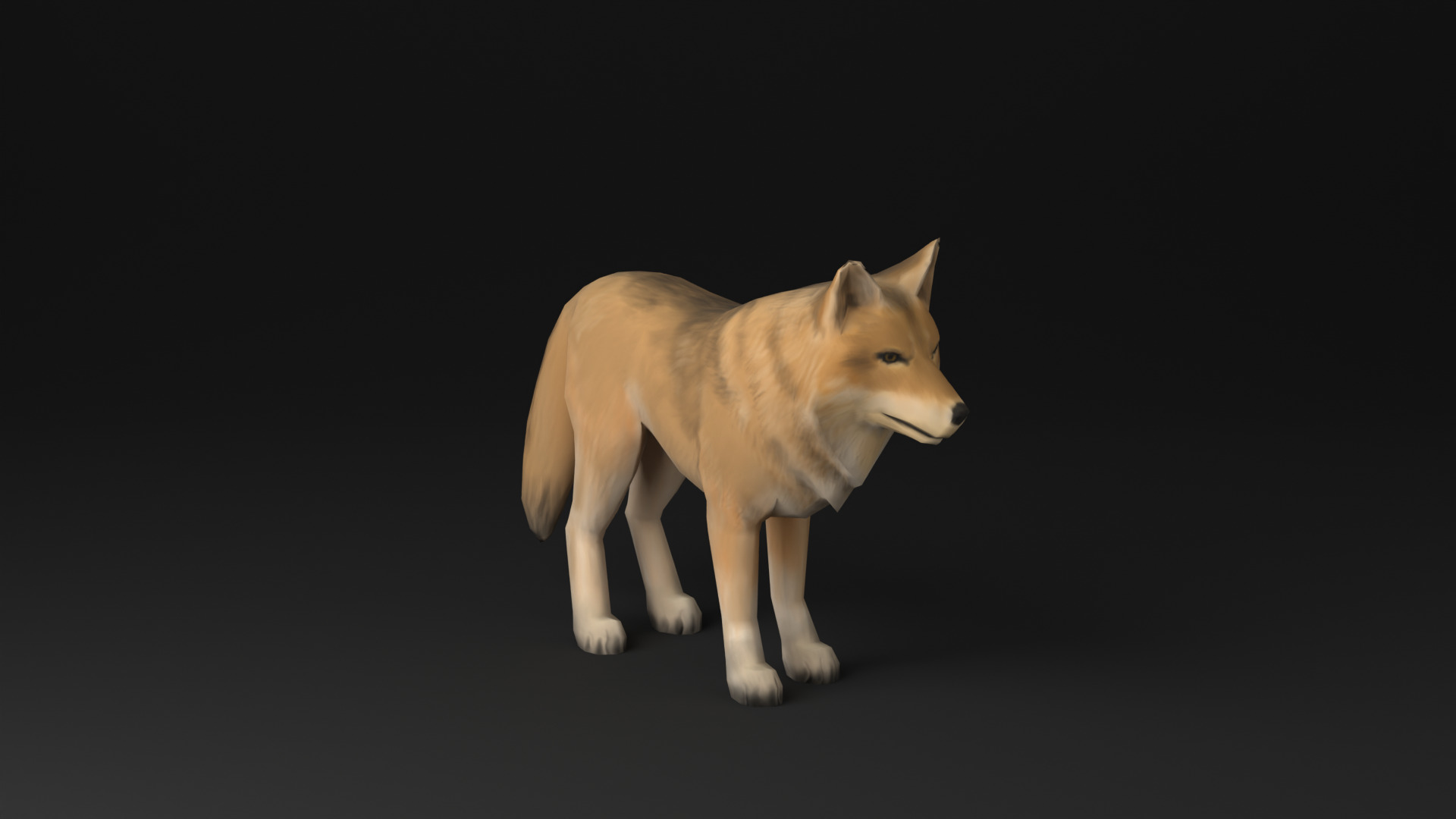 Wolf low poly idle animated Low-poly 3D model_21