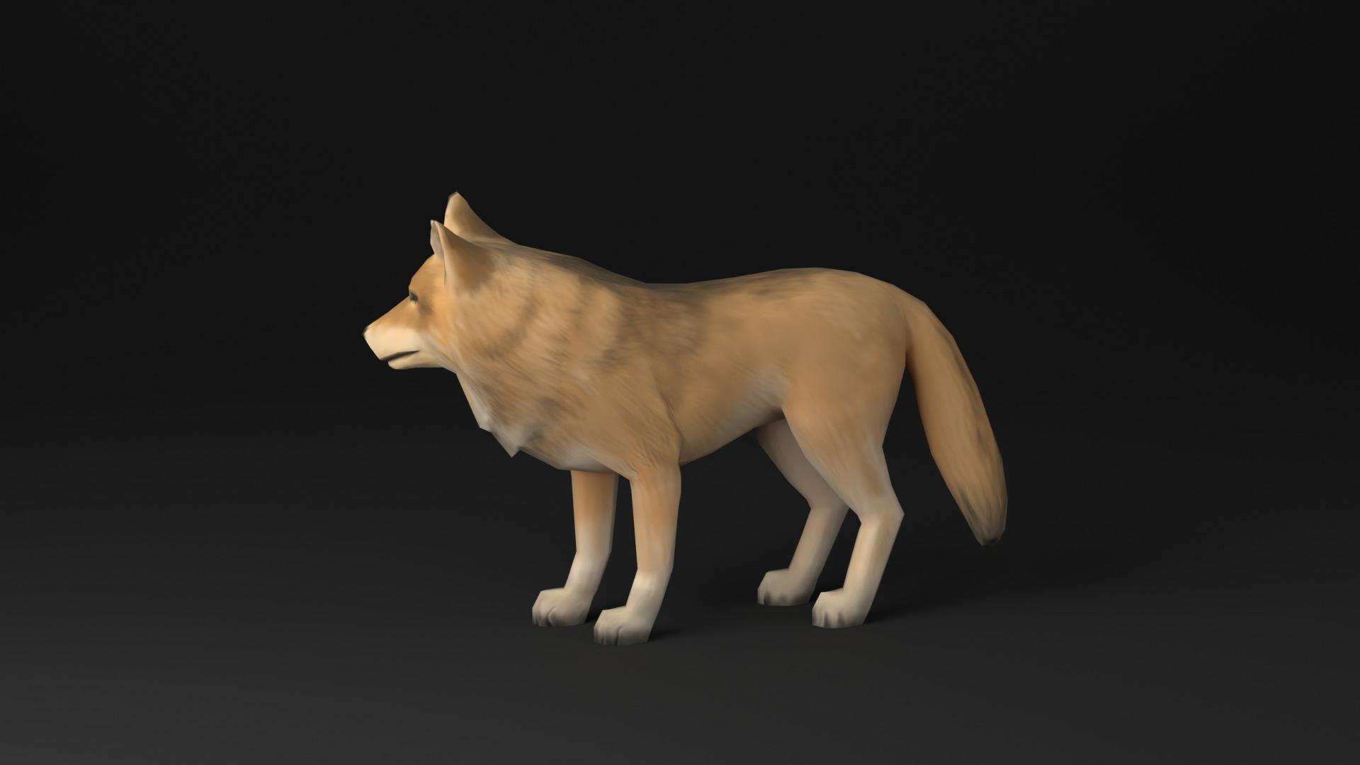 Wolf low poly idle animated Low-poly 3D model_7
