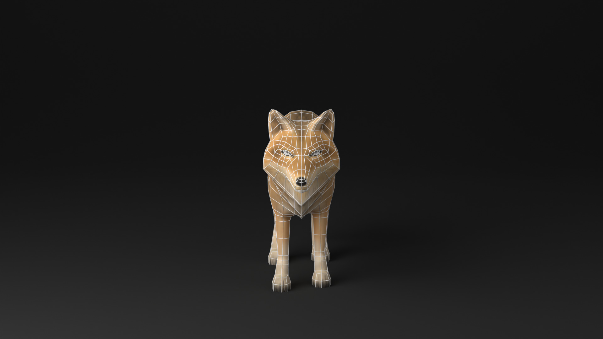 Wolf low poly idle animated Low-poly 3D model_6
