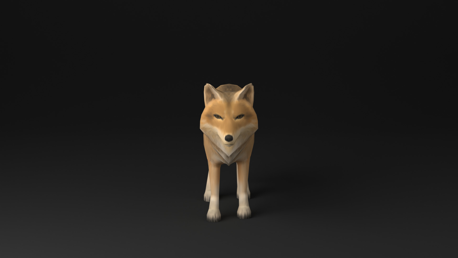 Wolf low poly idle animated Low-poly 3D model_5