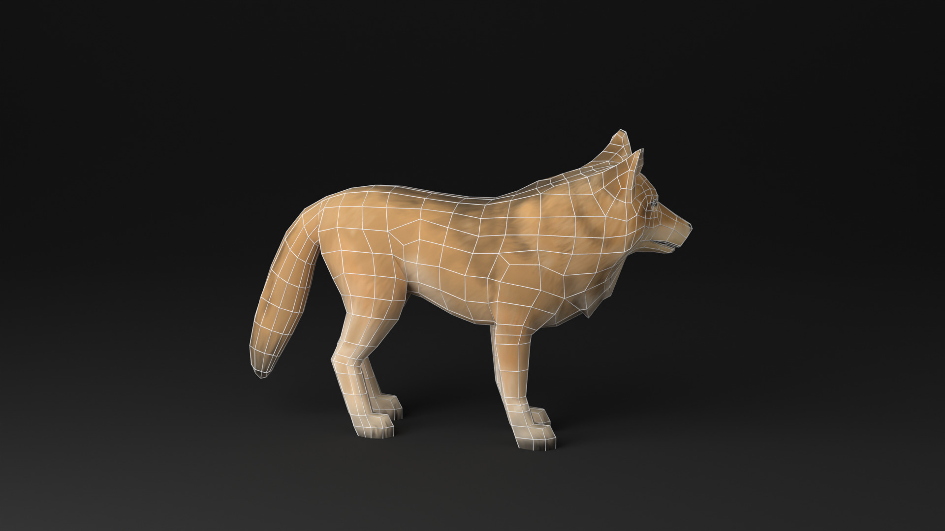 Wolf low poly idle animated Low-poly 3D model_20