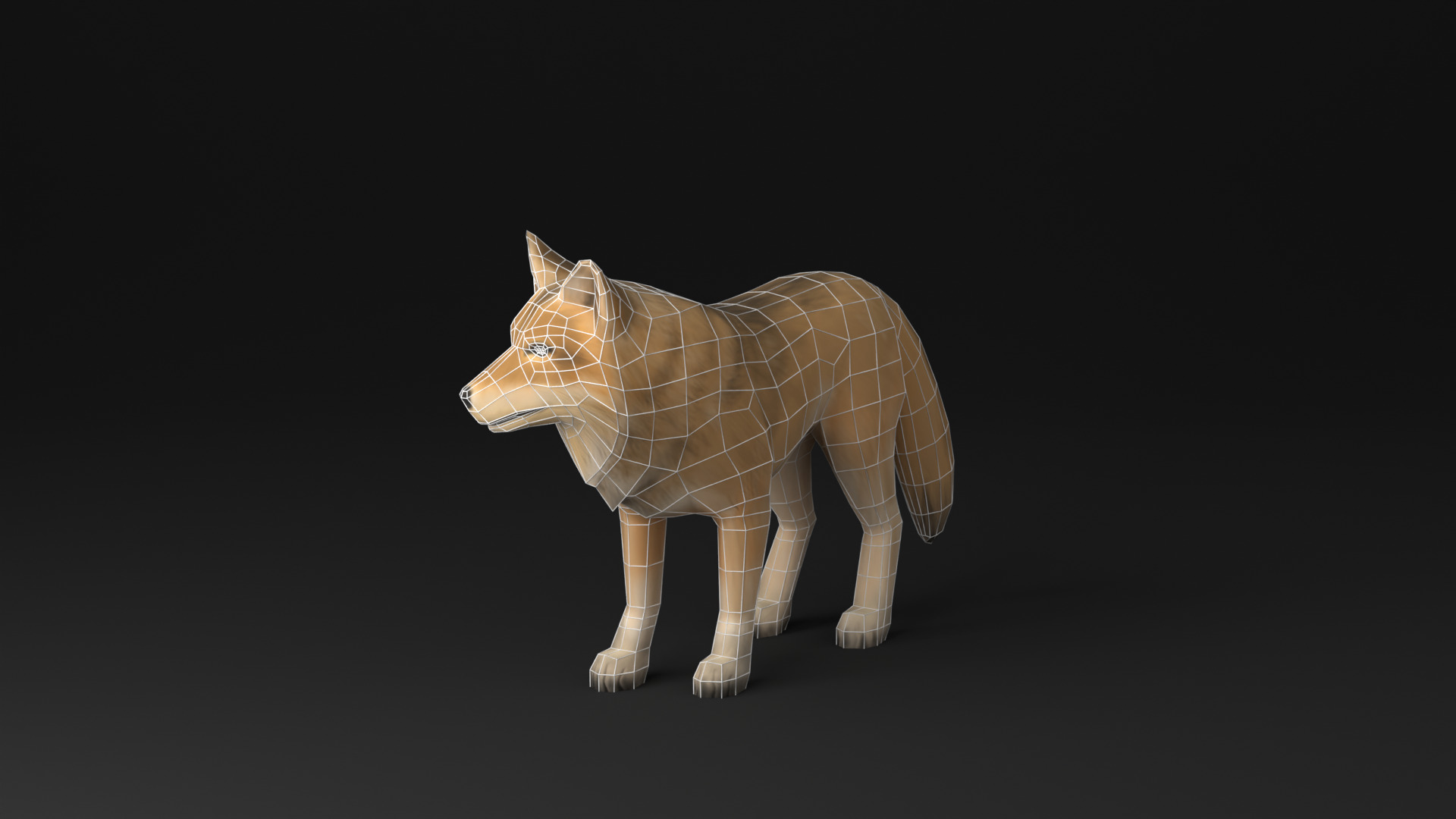 Wolf low poly idle animated Low-poly 3D model_4