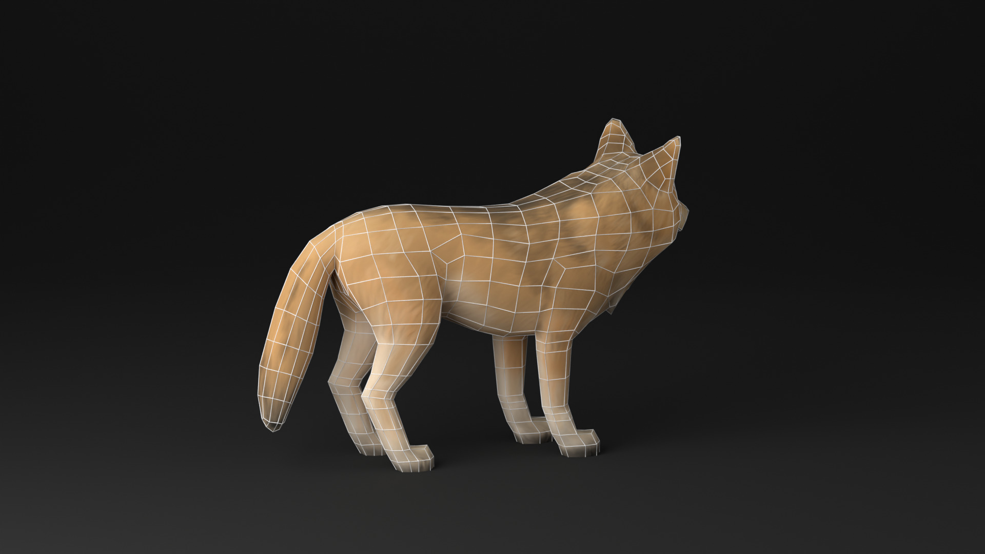 Wolf low poly idle animated Low-poly 3D model_18