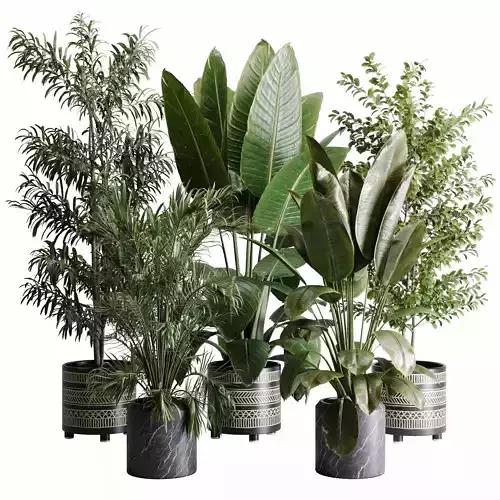 Tree plant in a Patterned clay vase and marble