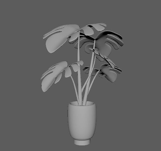 Monstera 3D model