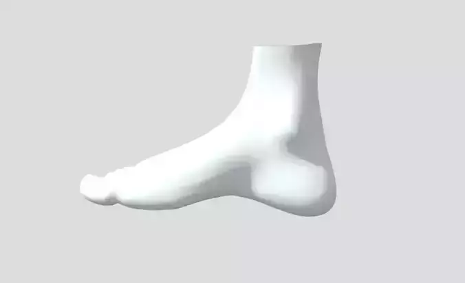 foot model