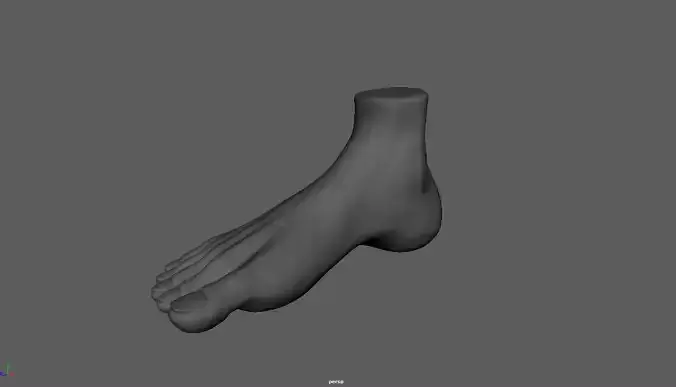 Feet 3D sculp