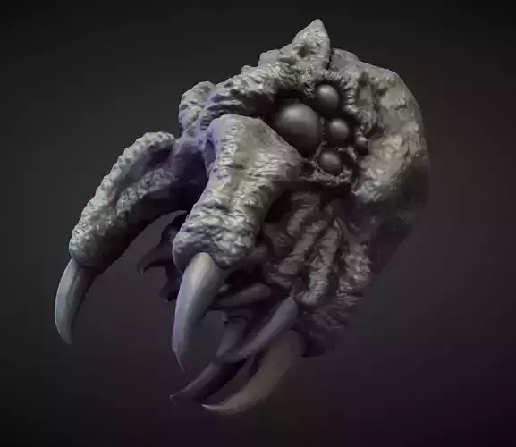 HEAD48 high poly sculpt 3D model