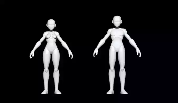 Base Mesh Male and Female 3D model