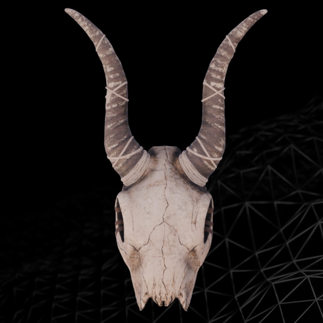 Ram Skull with Curved Horns 3D model_2