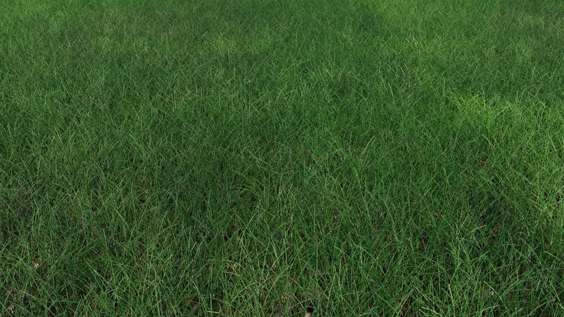 Grass 3D model_3