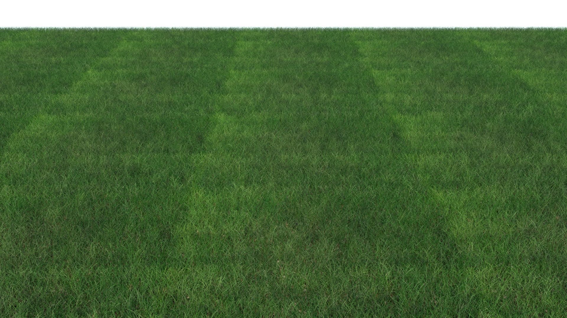 Grass 3D model_1