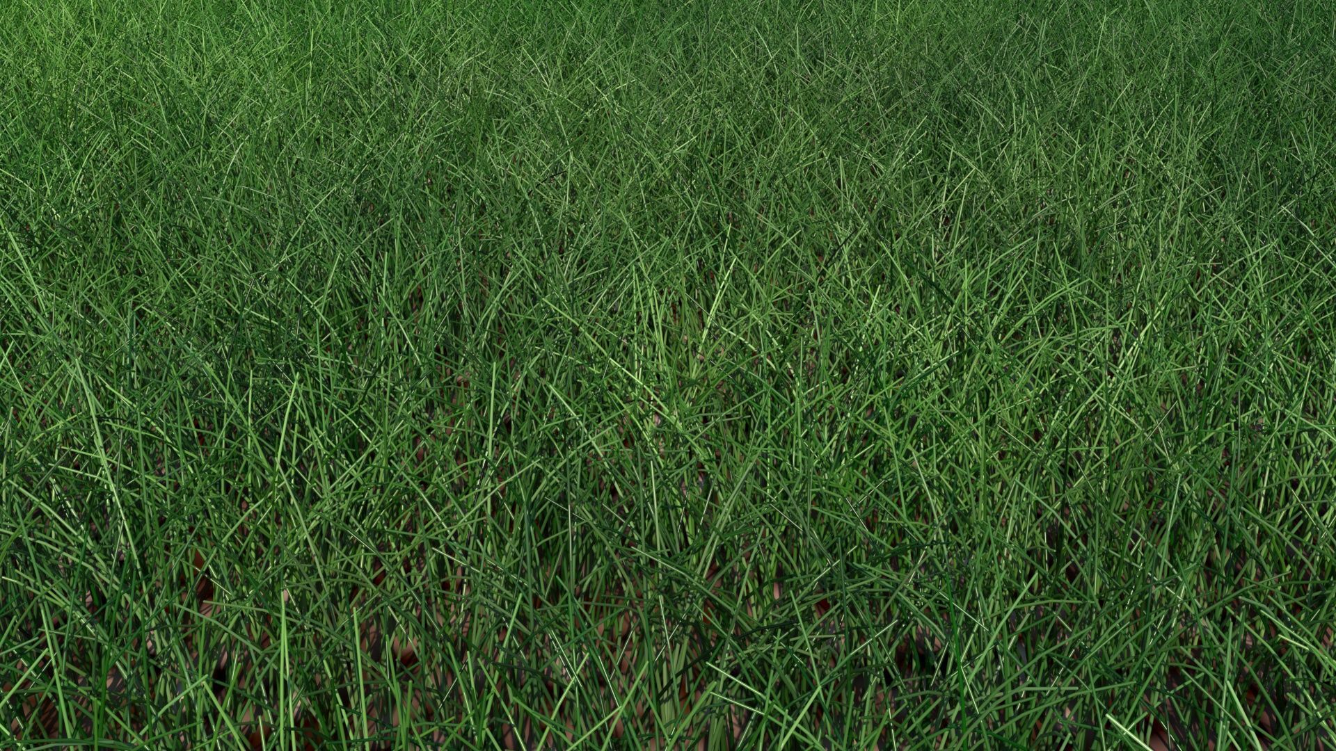 Grass 3D model_2