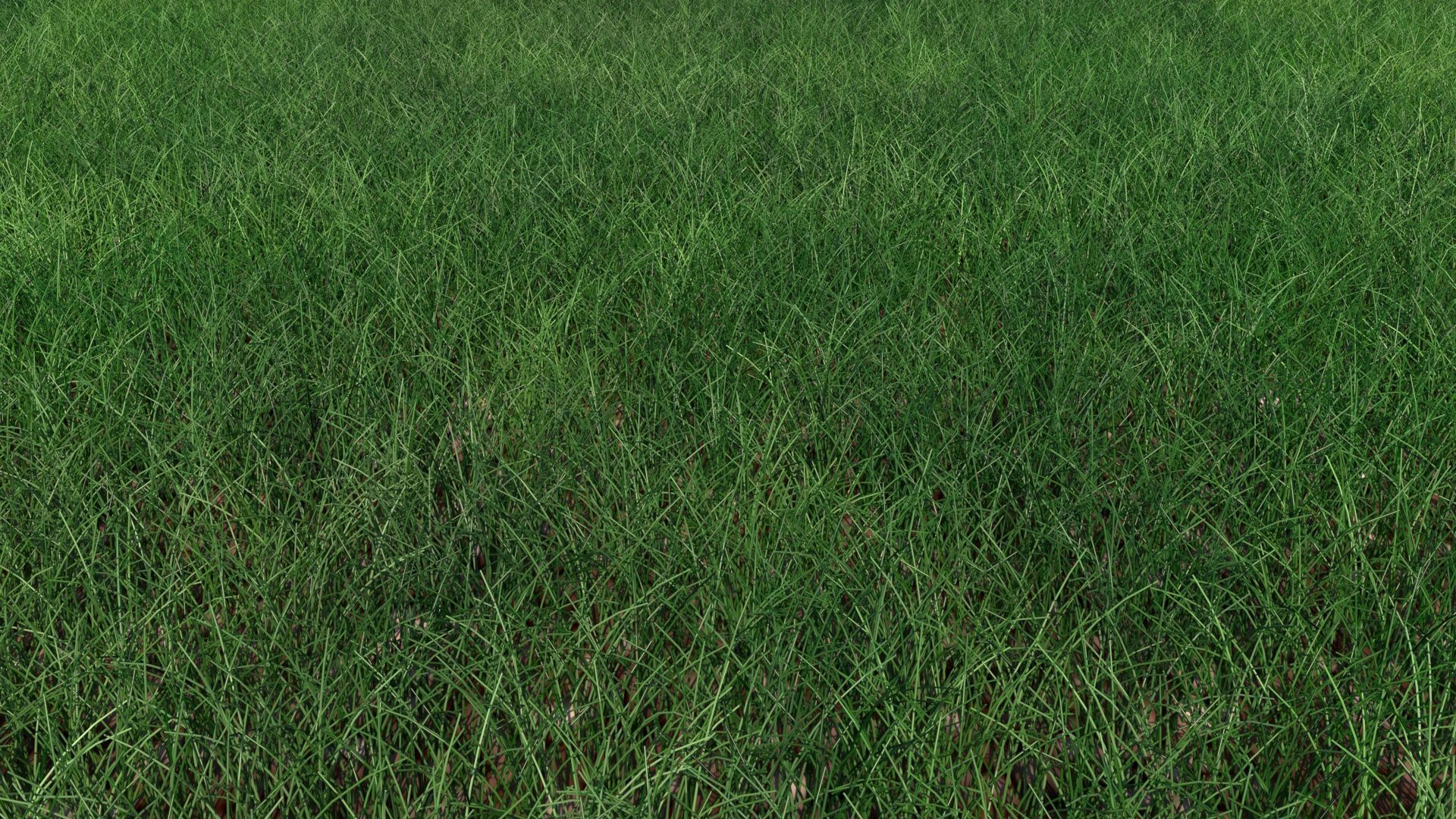Grass 3D model_4