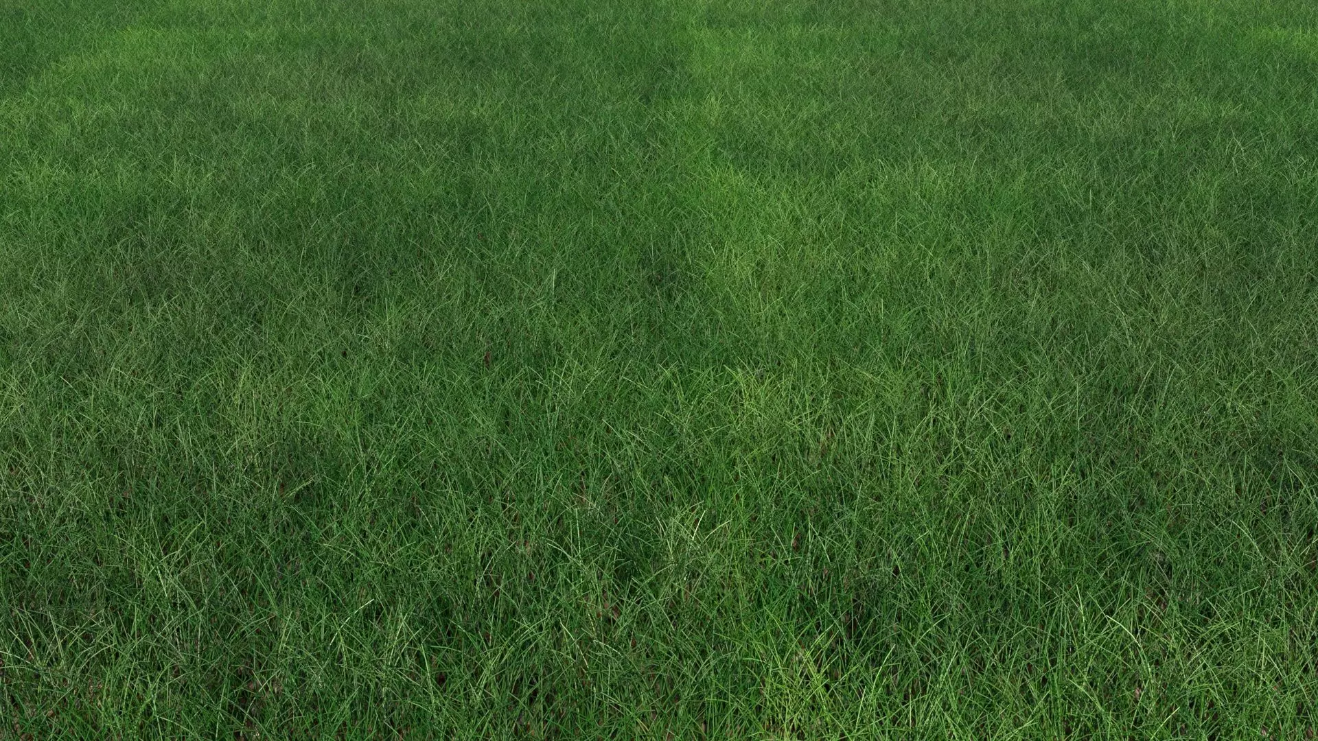 Grass 3D model_0