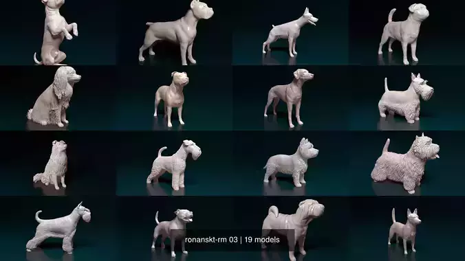 ronanskt-rm 03 3D Model Collection