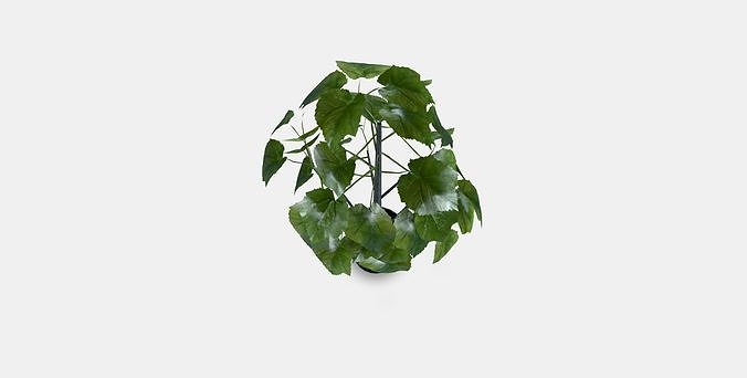 FEJKA Artificial potted plant 1 Low-poly 3D model