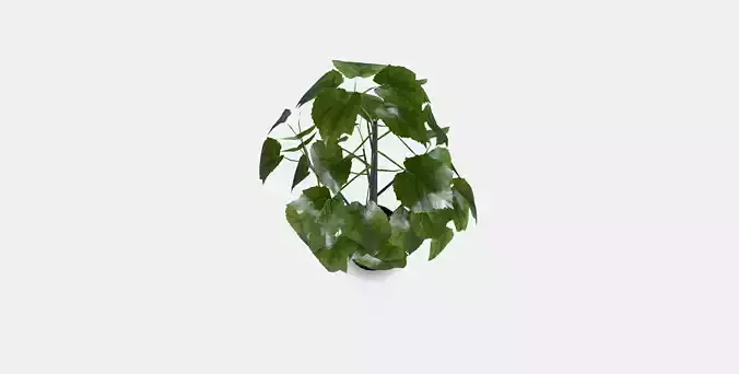 FEJKA Artificial potted plant 1