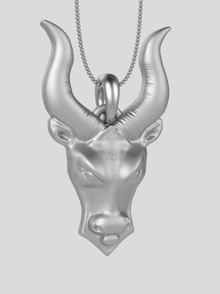 Zodiac Taurus 3D print model_13