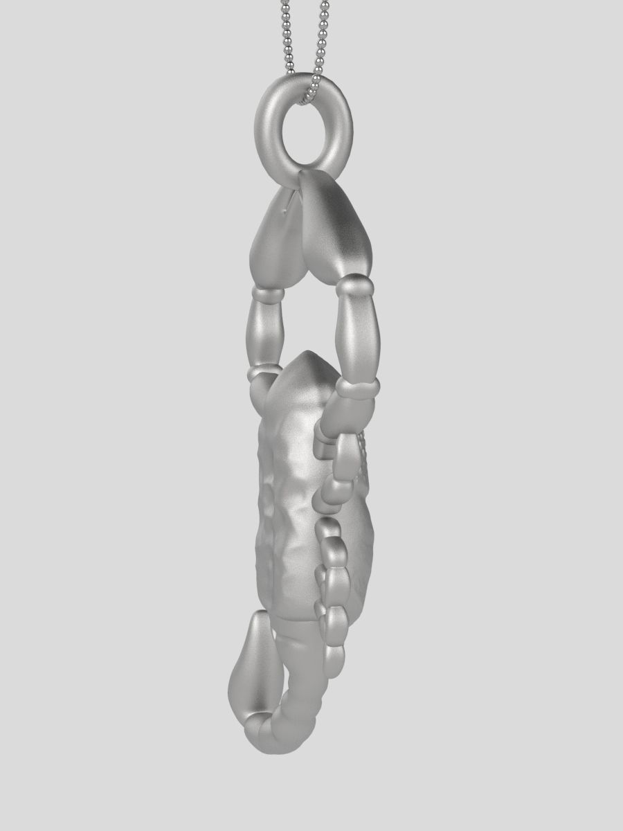 Zodiac Scorpio 3D print model_8