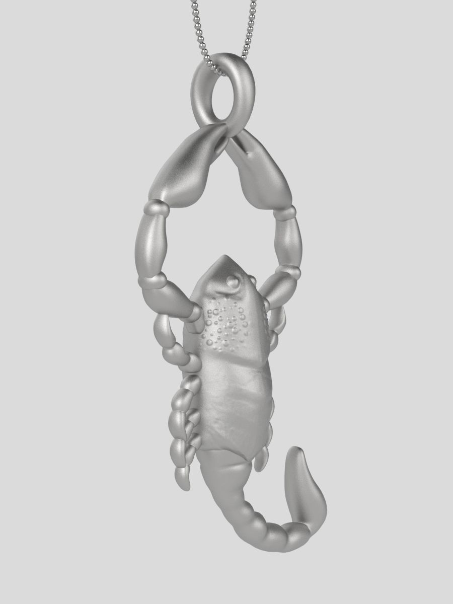 Zodiac Scorpio 3D print model_11