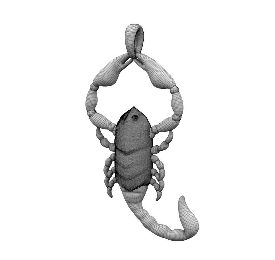 Zodiac Scorpio 3D print model_26