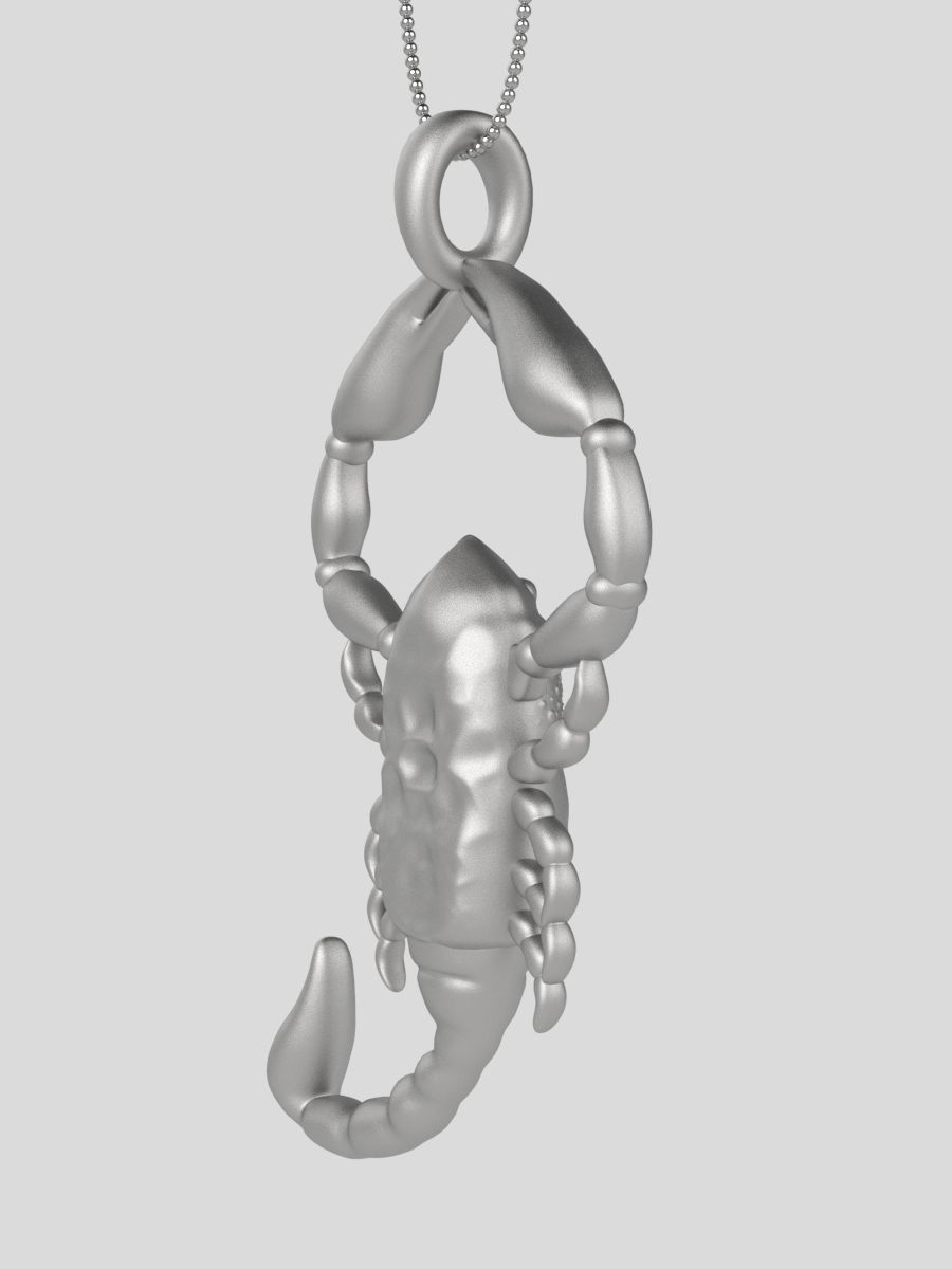Zodiac Scorpio 3D print model_7