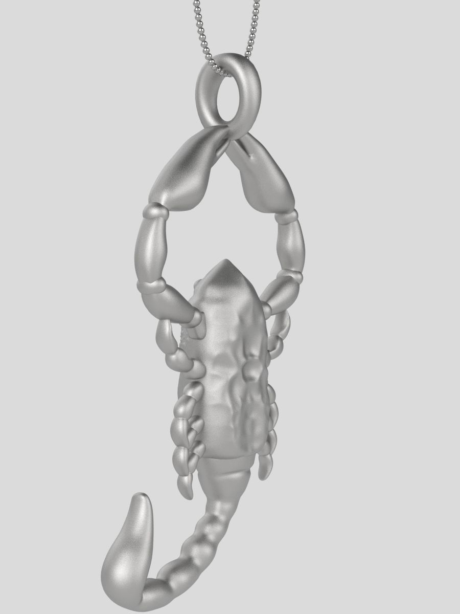 Zodiac Scorpio 3D print model_20