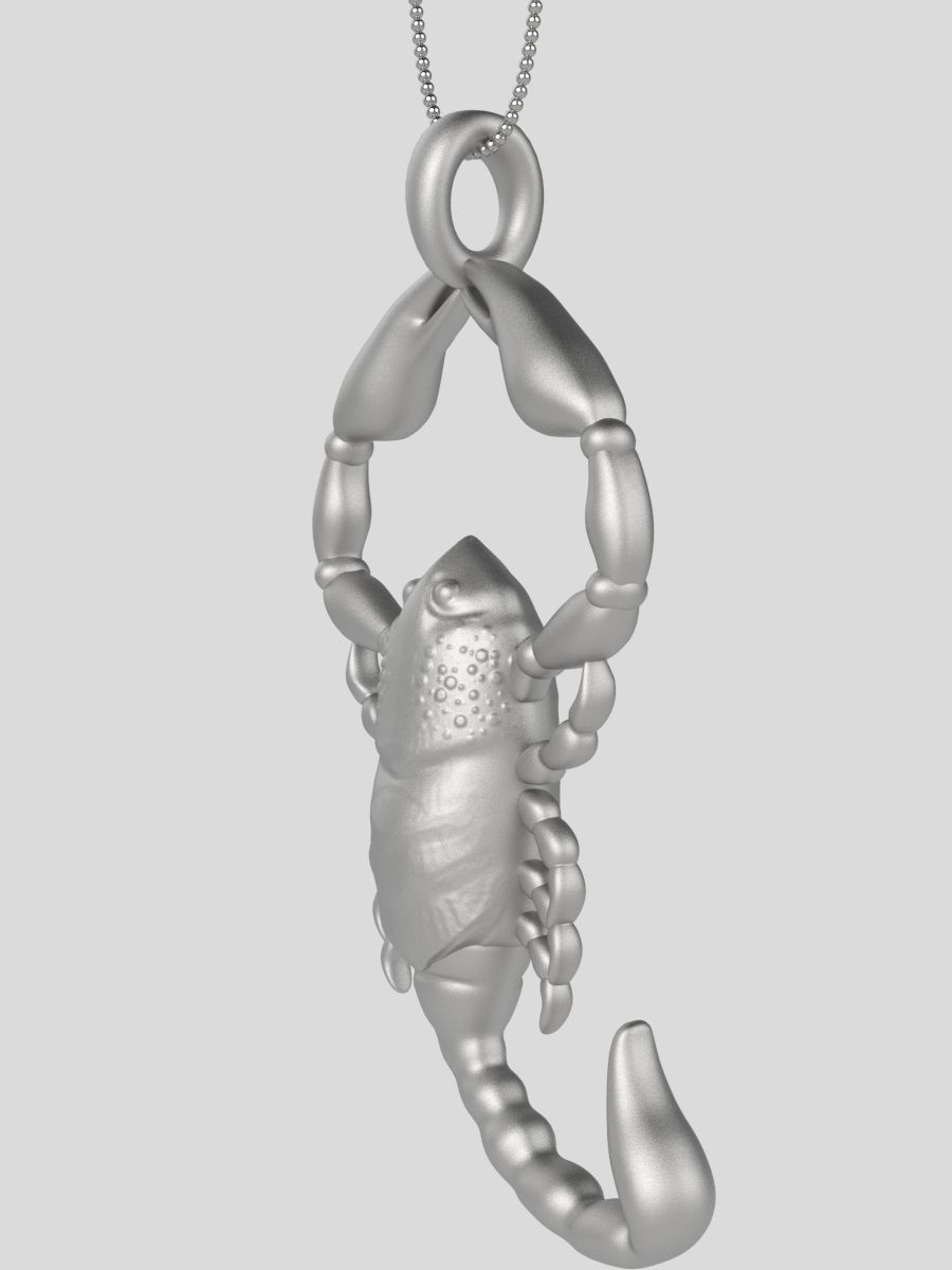 Zodiac Scorpio 3D print model_16