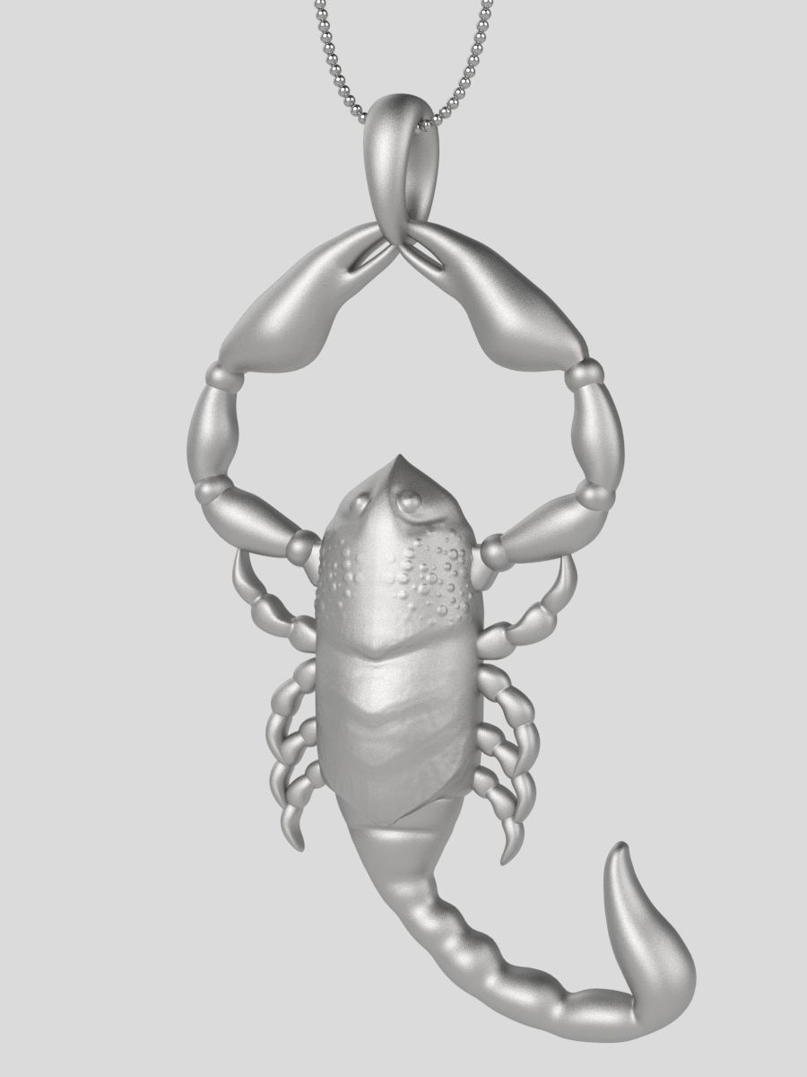 Zodiac Scorpio 3D print model_14