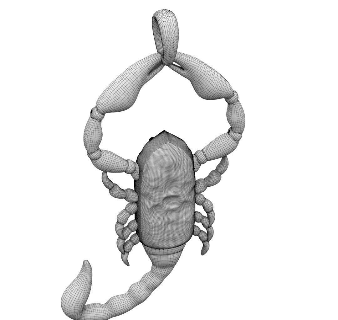 Zodiac Scorpio 3D print model_33