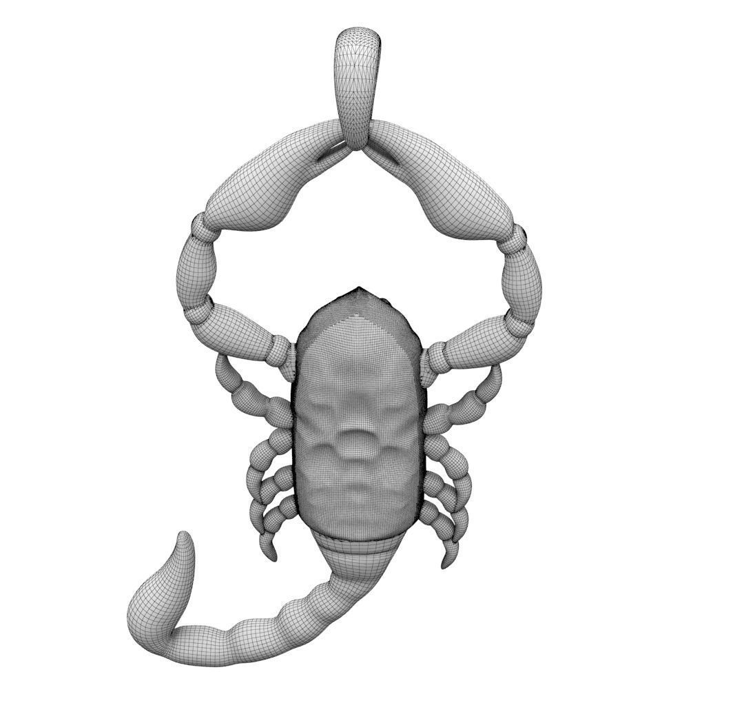 Zodiac Scorpio 3D print model_34
