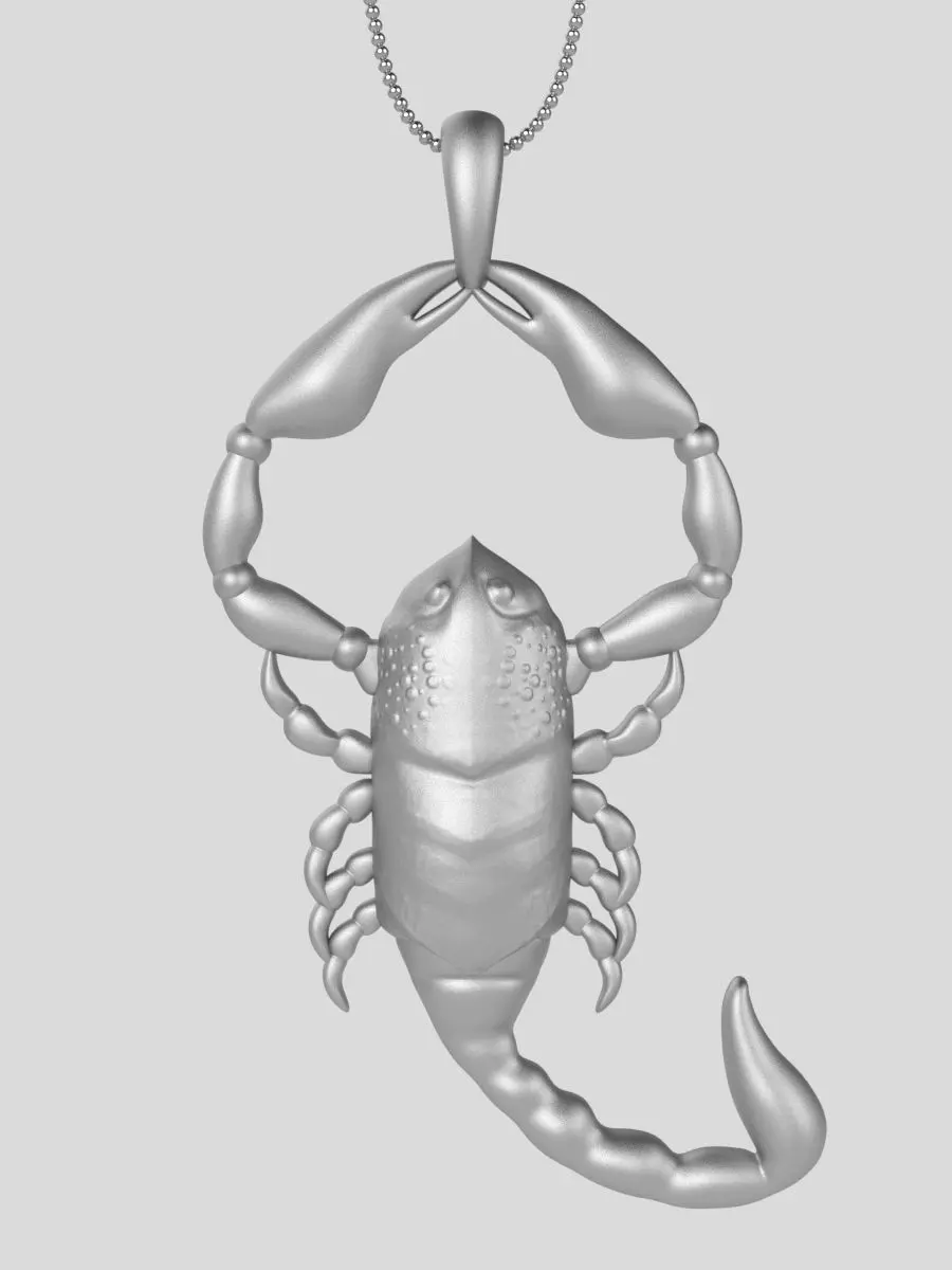 Zodiac Scorpio 3D print model_0