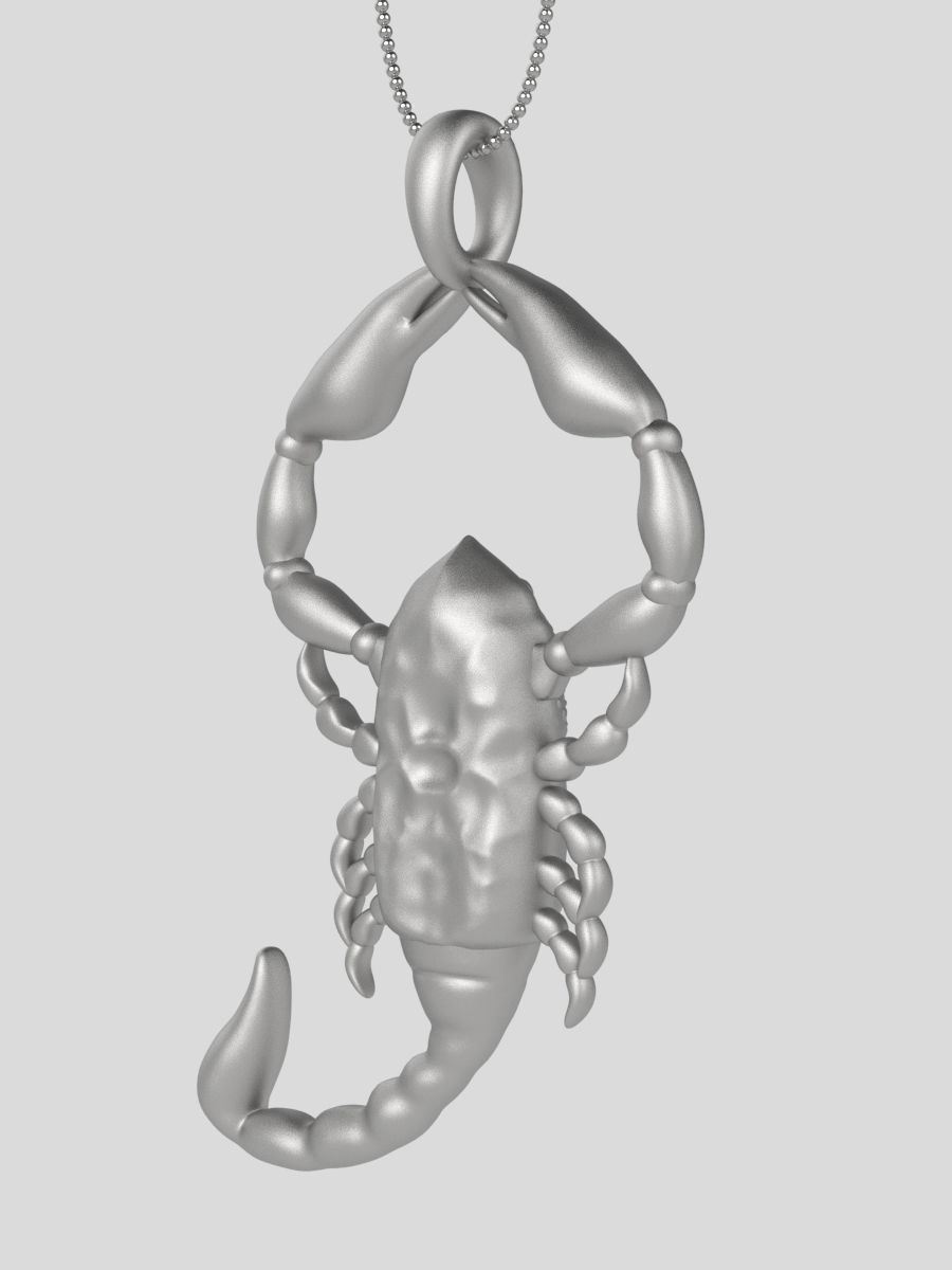 Zodiac Scorpio 3D print model_6
