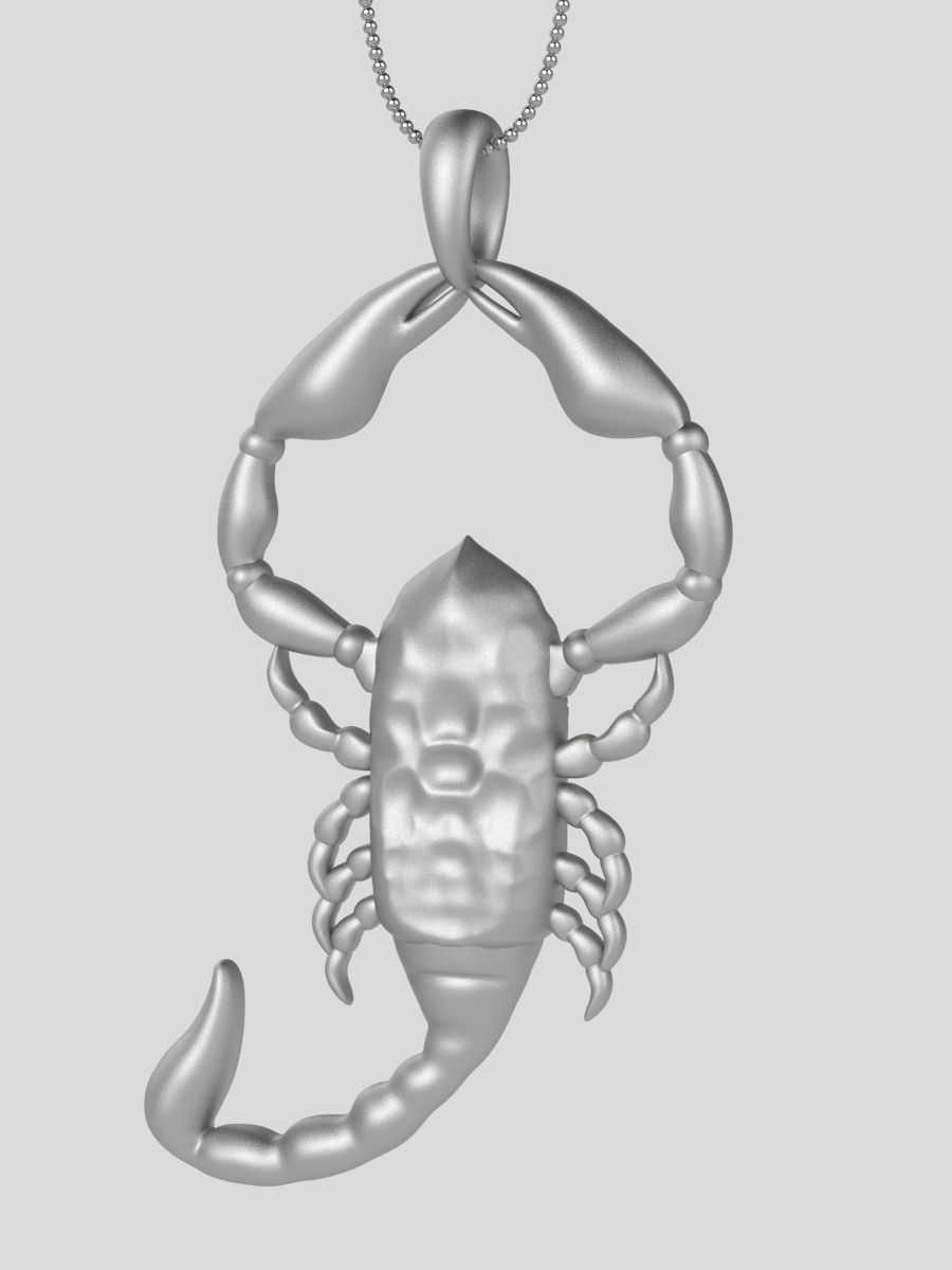 Zodiac Scorpio 3D print model_5