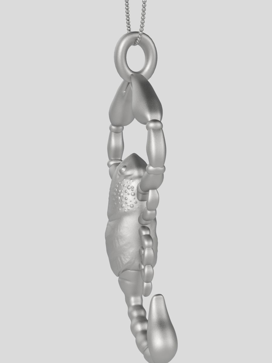 Zodiac Scorpio 3D print model_17
