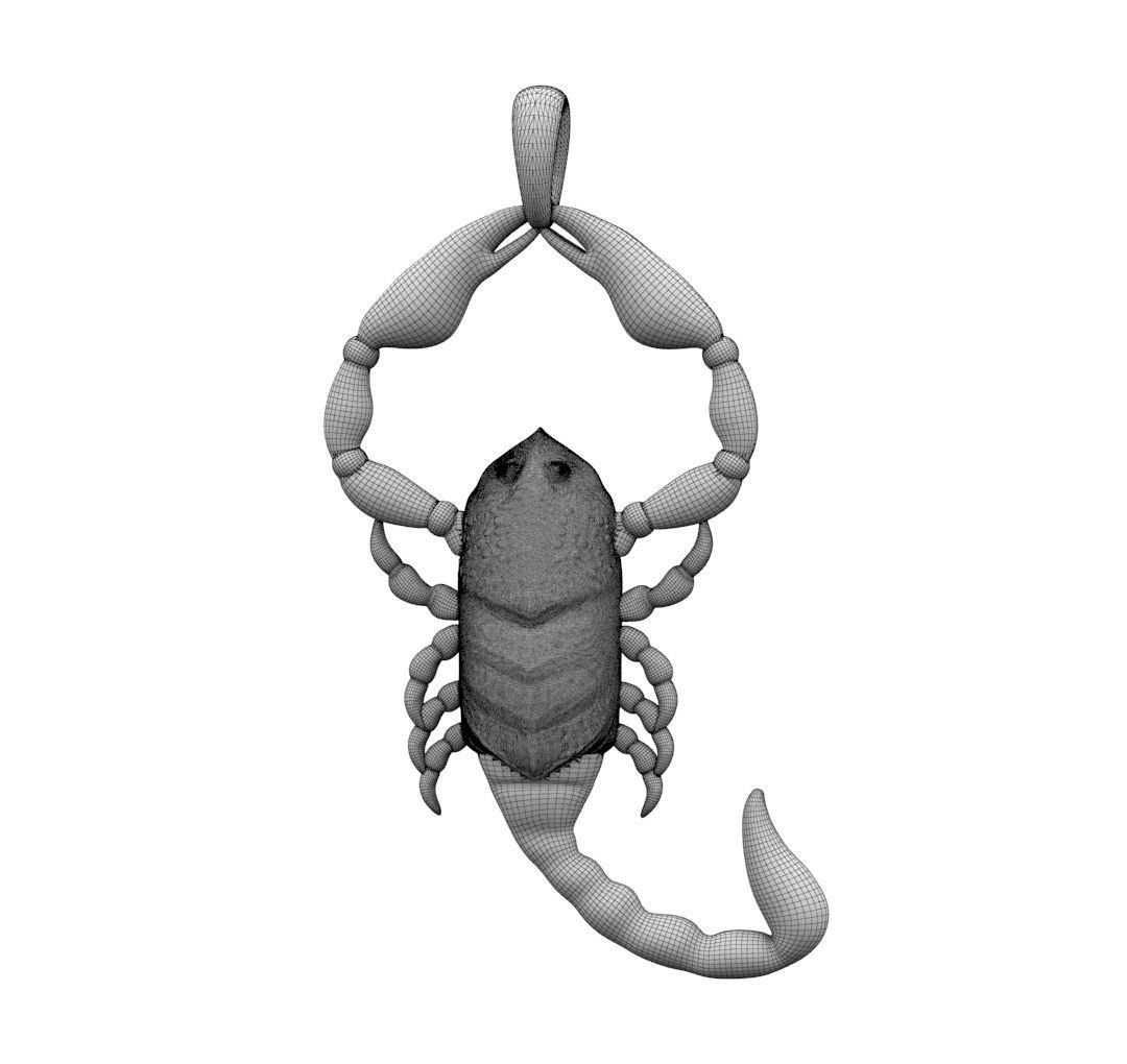 Zodiac Scorpio 3D print model_25
