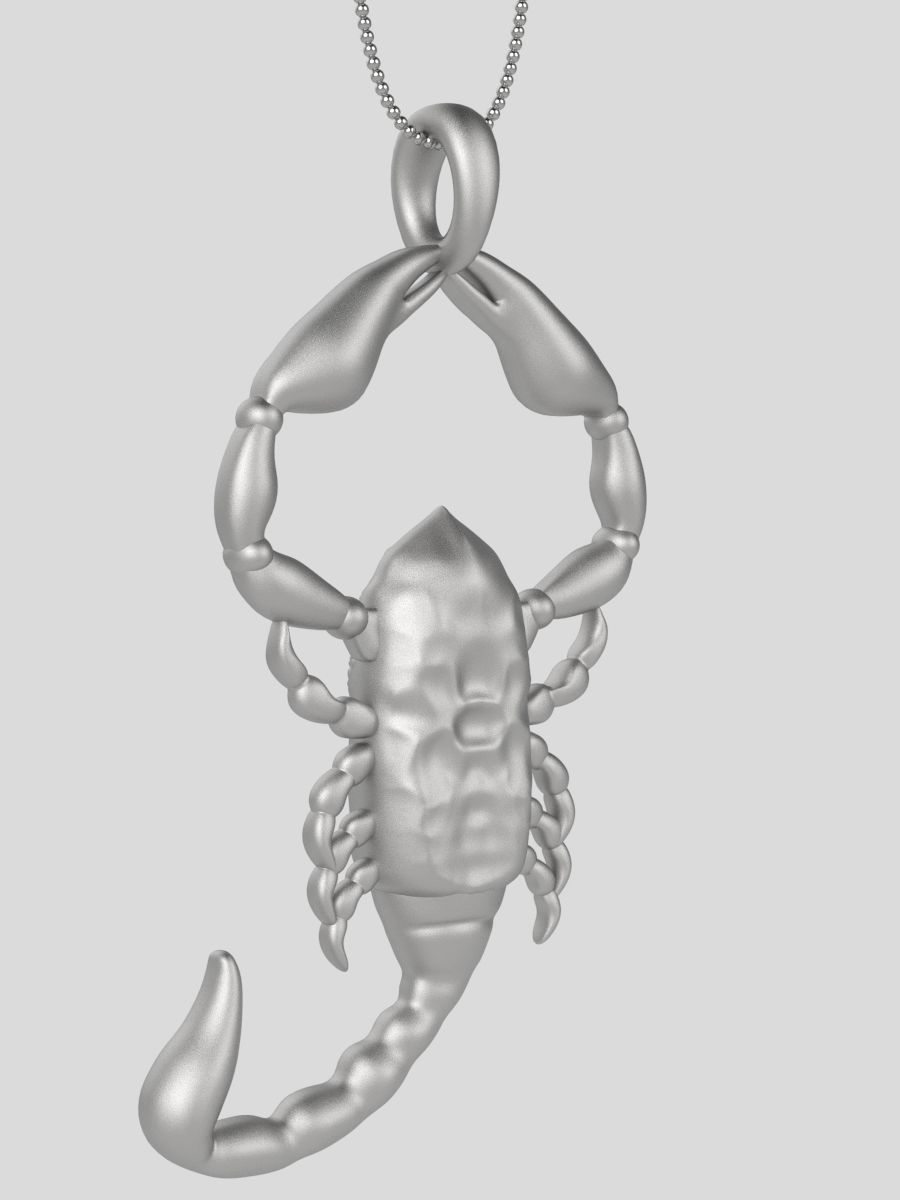 Zodiac Scorpio 3D print model_21